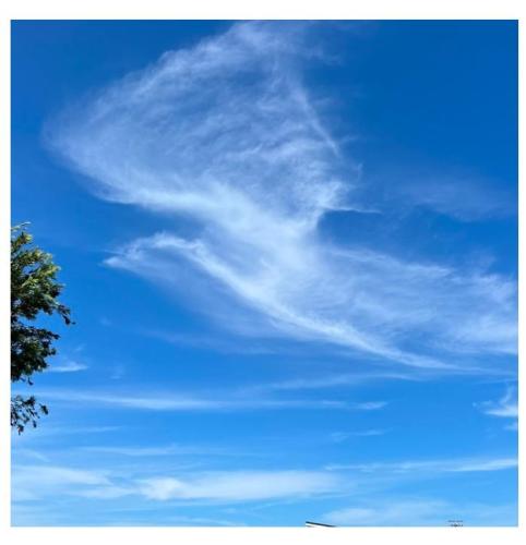 9db8f9f3-8f4b-4e10-94a9-1d646bc48c6e