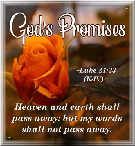 608424349_869326288800748_2452559811709013225_n