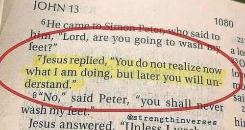 IMG_20251202_131938_301