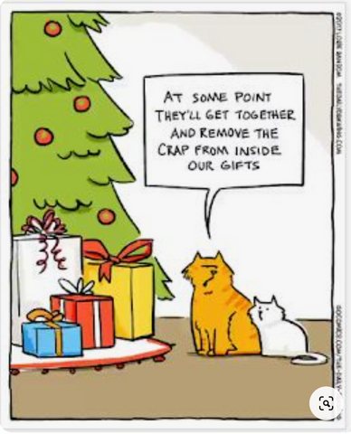 Screen_Shot_2020-12-22_at_12.50.19_PM_480x480