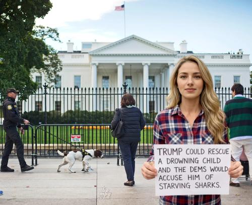 b53907d3ce2f44955bacf05d8564e7c3