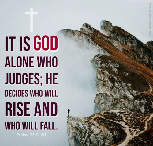 Screenshot_20251229-194611-168