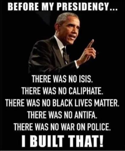 TESTHUB_photos_users_KPBY8Tc46ldqLjWXf6bqxqOW3AR2_-OfuZ5-FTytbhrpvph_s_img_rsz__1100x1100