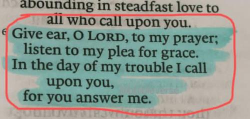 IMG_20251214_130758_027