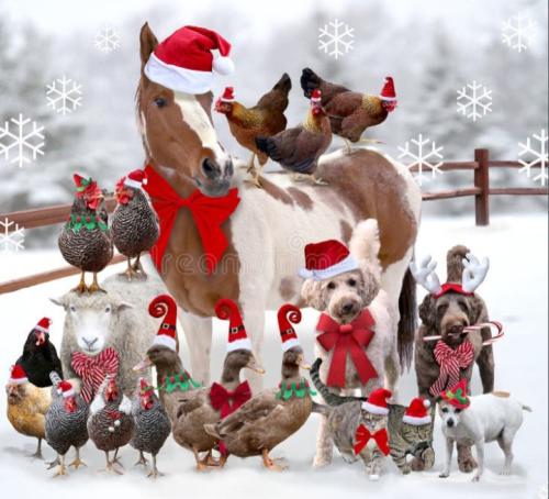 Screenshot_20251225-145757~2