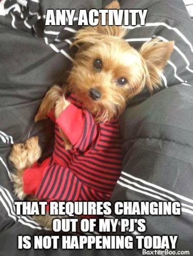 d7e01b8becd18f2c717d832a4c0eba30