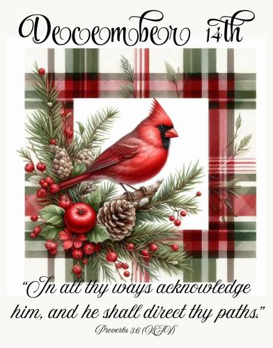 597780352_877002091500805_5354727636565732766_n