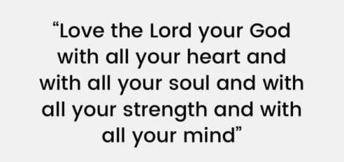 IMG_20251210_105546_222