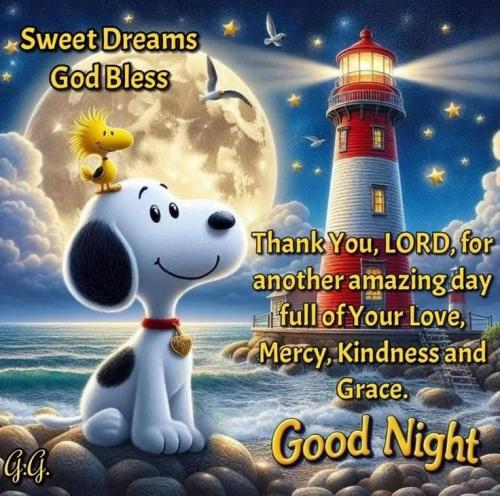 6f95477840c246037556fa025ce00e68