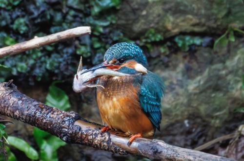 RDT_20251231_0127112661065798265152213