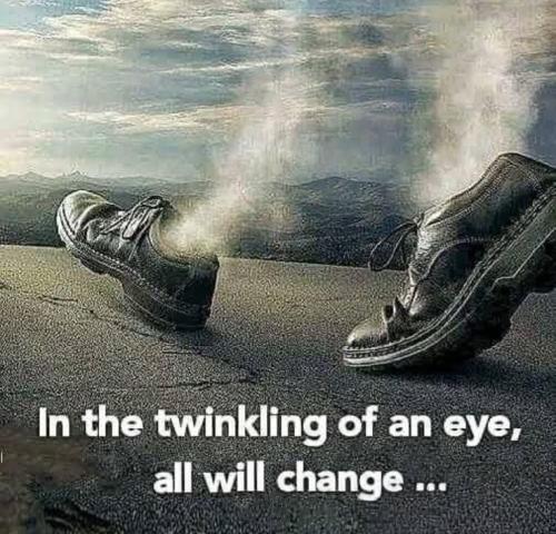 1a50a9fc73254a4f0080b6283f9774ac