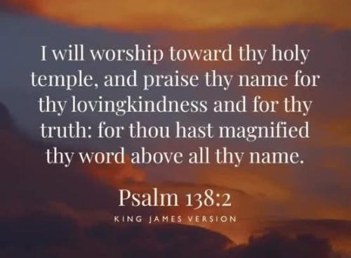 53f1f95e-36dc-48a7-928c-f0e7bb276d24