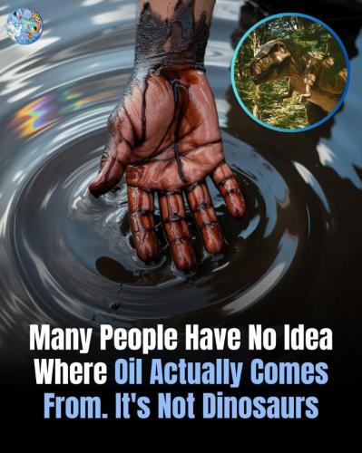 707dbb1c-2067-44cd-91a3-b761f0a1c21d