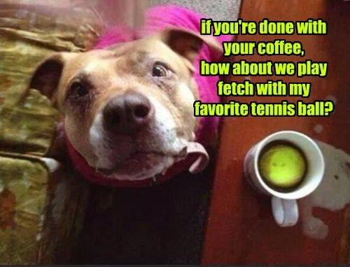 it-will-wake-you-right-up