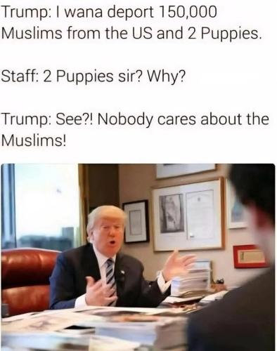 See ! Nobody cares about the terrorist tribes of Pislam !!