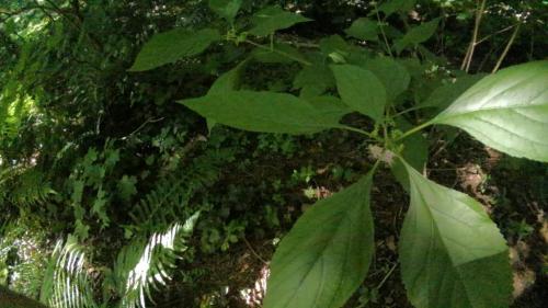 3598c2da-b63c-4c29-aee9-97070d373877