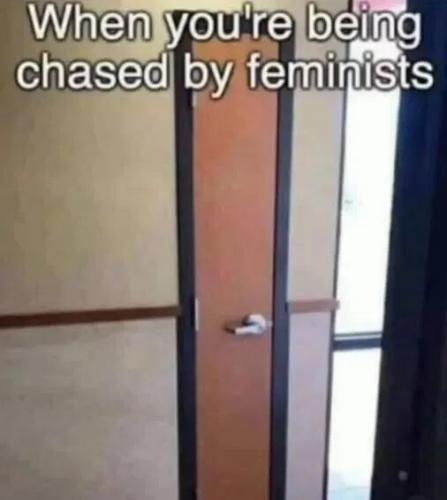 when-being-chased-by-feminists