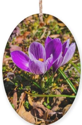 Screenshot_20251220_080744_Brave