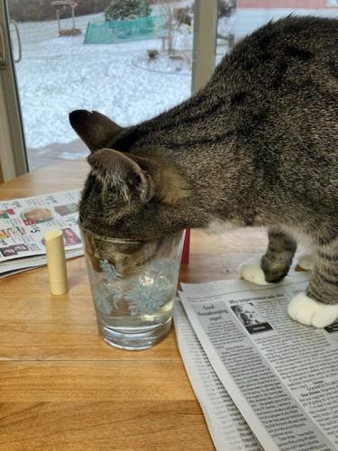 84E2C635-4583-4EF2-A53F-BB4DF2B221E3