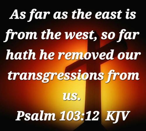 0fe00fc8-166f-4914-8f83-abfc94890a93