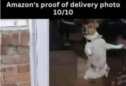 Screenshot_20251217_114935_Gallery