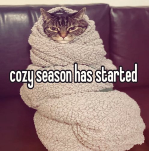 cozy-season-has-started