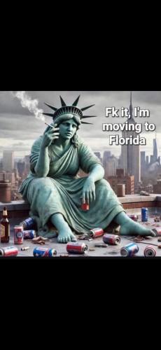 e8ed43fce6656e1913fe7a834d8da5ff