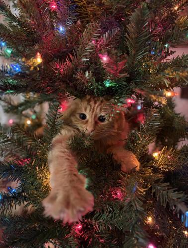 RDT_20251217_014822444140144033132930