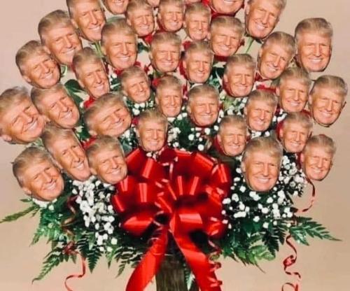 6c66c73d-d6a8-46fa-be2d-0120f32f98dc