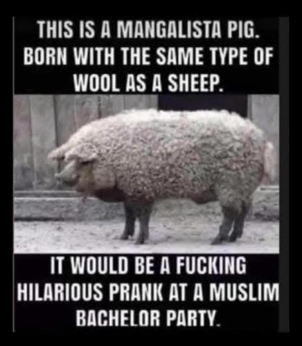 4658d2a1-60df-4ff1-ae2e-dedfc44554ef