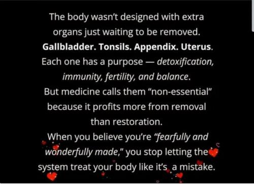 f5d48e9162c4383b6d87c3d5cb802e69