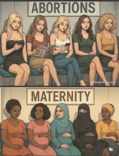 FB_IMG_1765370722873