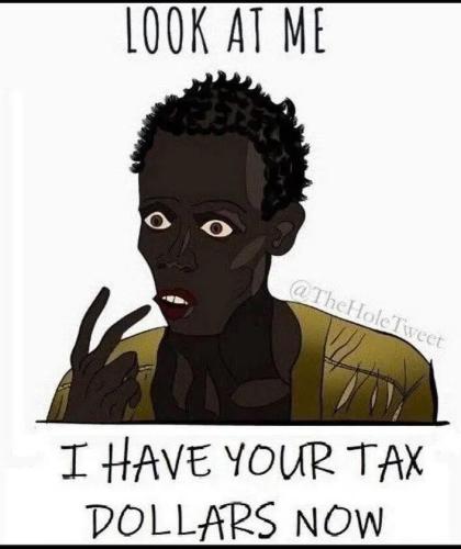 i-have-you-tax-dollars-now