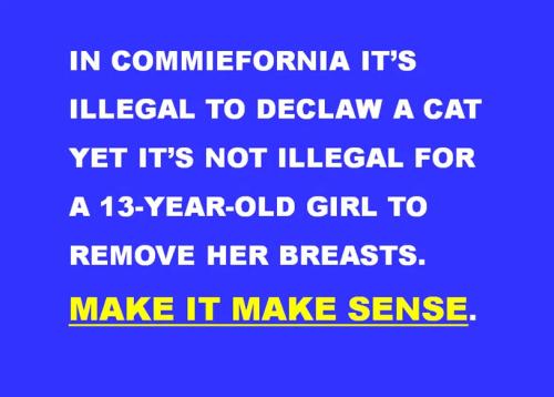 25efc8b3c20771177b08109c3a7b4c12