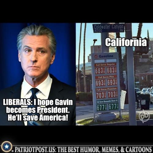 01KBXZ6S66Y5DR8DR1KAVDREP8