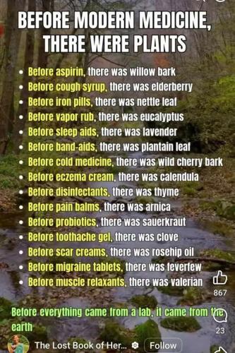 542fa5549805fd53ff8ae1012b9b77cc