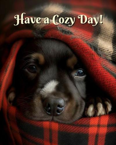 31fa3fe4b66d0f0e139eefd4fc8dacc9