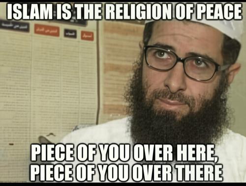 Low-86860295_614727162442715_96114002215567360_n-wonder-1.5x