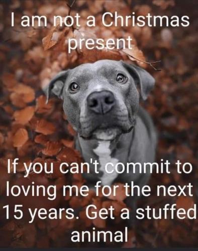 f2fe46837fdc1c598980da00a6d34a23