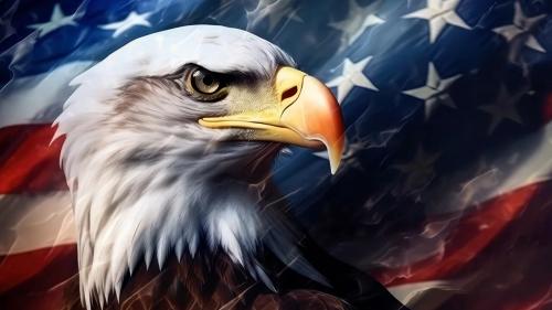 American-Eagle-over-American-Flag-58