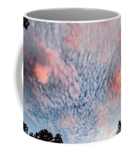 Screenshot_20260116_111718_Brave