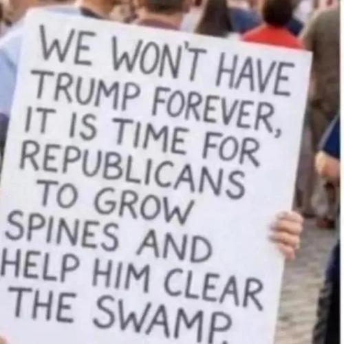 17676135581147843294560210236644_9849266500355