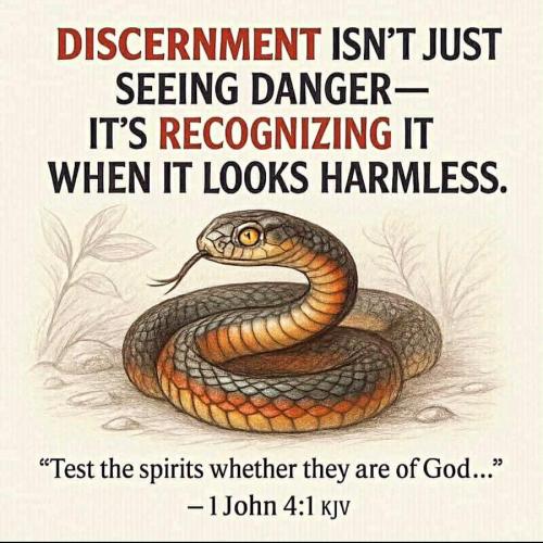 IMG_20260125_153503_161