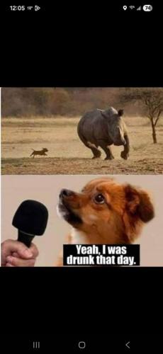 cca25349-ef94-4d1a-96b1-108ac4bd7ba4