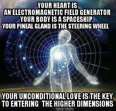 ,       ,        423193798_7468111