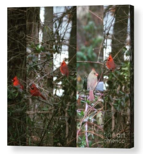 Screenshot_20260101_183931_Brave