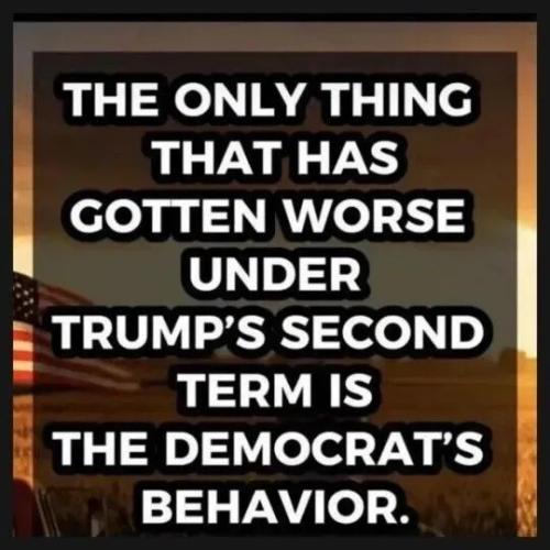 TESTHUB_photos_users_KPBY8Tc46ldqLjWXf6bqxqOW3AR2_-OjIOf9D4VQXWXdmHTPU_img_rsz__1100x1100