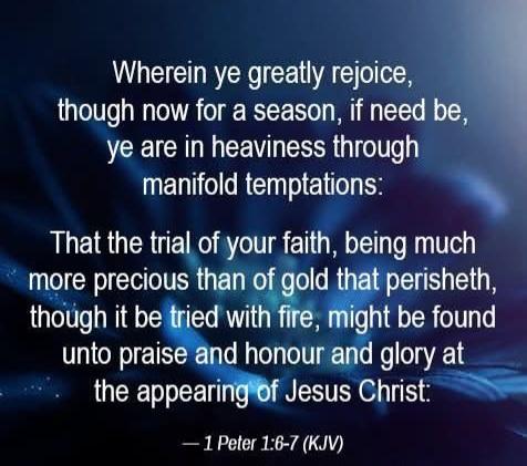 049fbb89-2a85-4105-b0bd-1a32201c350d