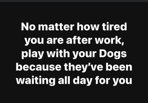 4eced4073a9ead3638551dbf2d51d8fe