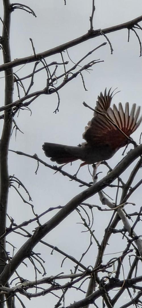 39709738-d5ee-40b7-8b9d-01cfef09fd68